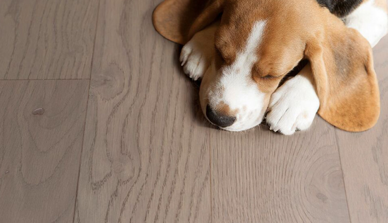 實木復(fù)合地板重新定義了高品質(zhì)生活的標準 圖片4