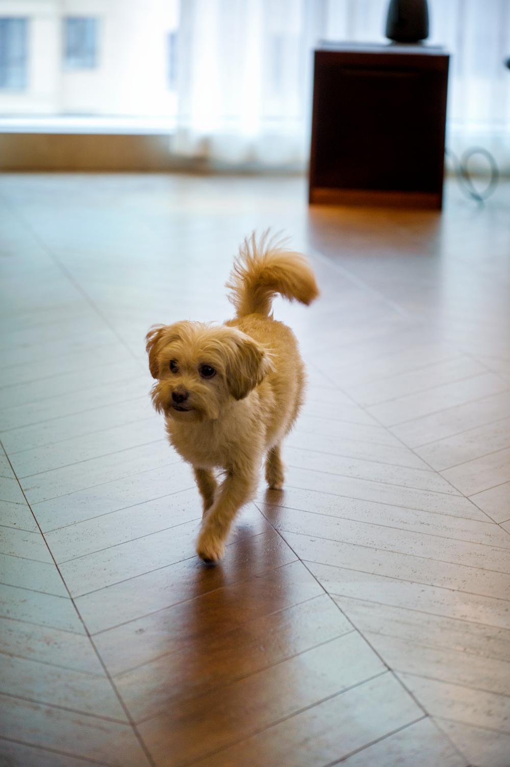 中式風新家的靈魂，居然是這塊軟木地板 圖片12