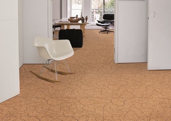 如何保養(yǎng)軟木地板 如何保養(yǎng)軟木地板