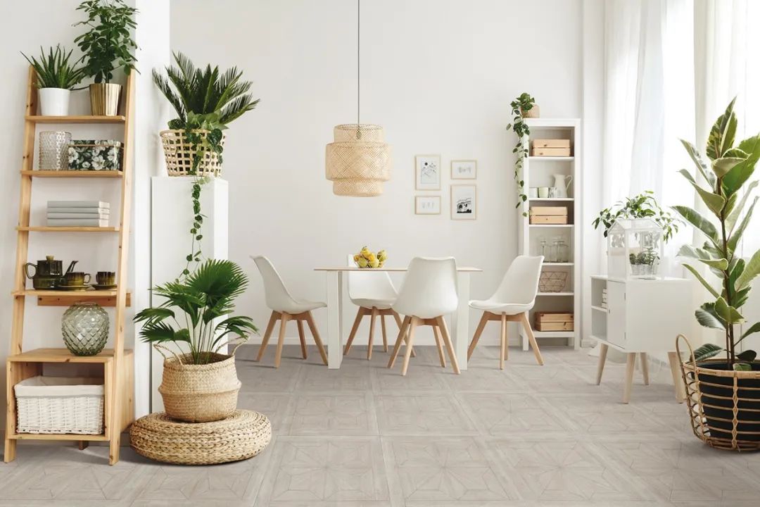 你可以永遠相信得高品質! image1 你可以永遠相信得高品質! image1